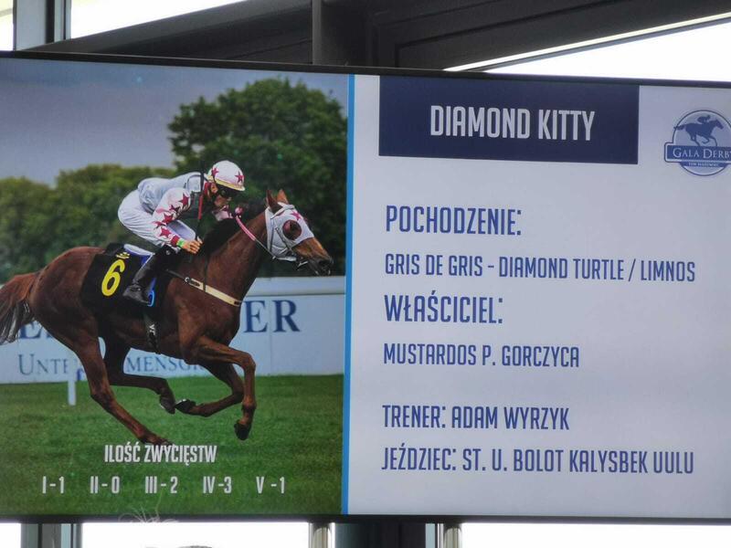 Diamond Kitty / autor: Fratria