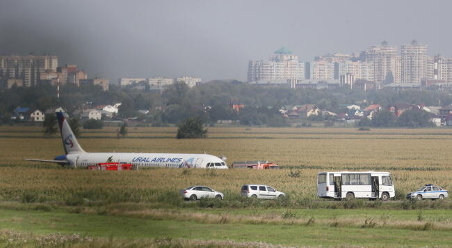Podczas awaryjnego lądowania obrażenia odniosły 23 osoby z 234 na pokładzie maszyny / autor: PAP/EPA/SERGEI ILNITSKY