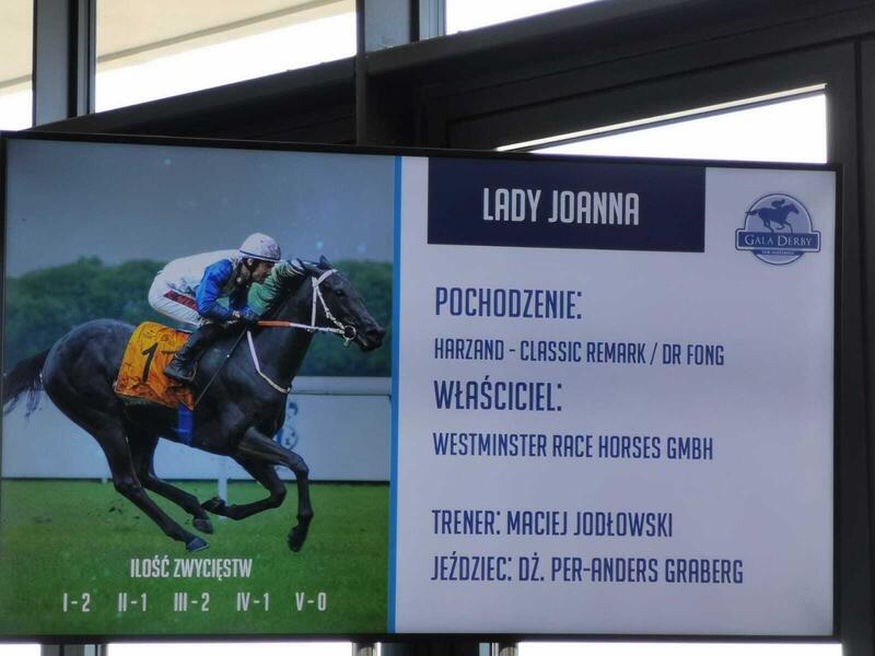 Lady Joana / autor: Fratria