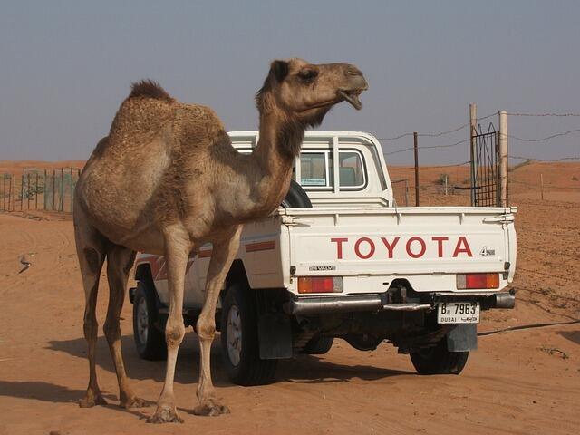 Toyota, pustynia / autor: Pixabay