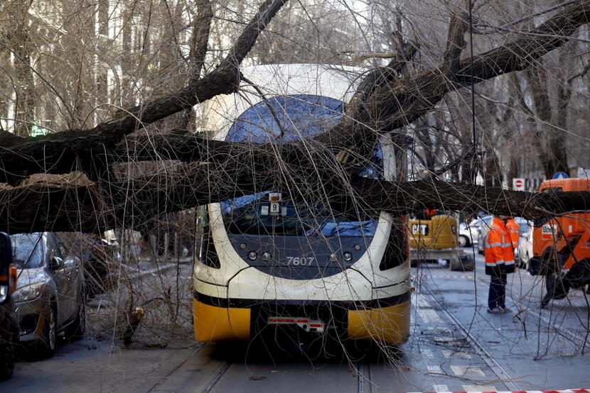 Wicher powala też drzewa w centrum Mediolanu / autor: EPA/PAP