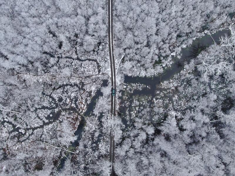 Lasy Nadleśnictwa Sarnaki w zimowej scenerii okiem drona / autor: fot. Grzegorz Jakimiuk, Lasy Państwowe